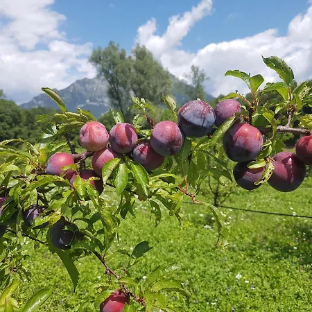Bed and Breakfast La Giasena Ponte nellʼAlpi
