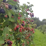 La Giasena 3*