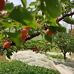 Bed and Breakfast La Giasena 3*