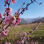 Bed and Breakfast La Giasena Ponte nellʼAlpi